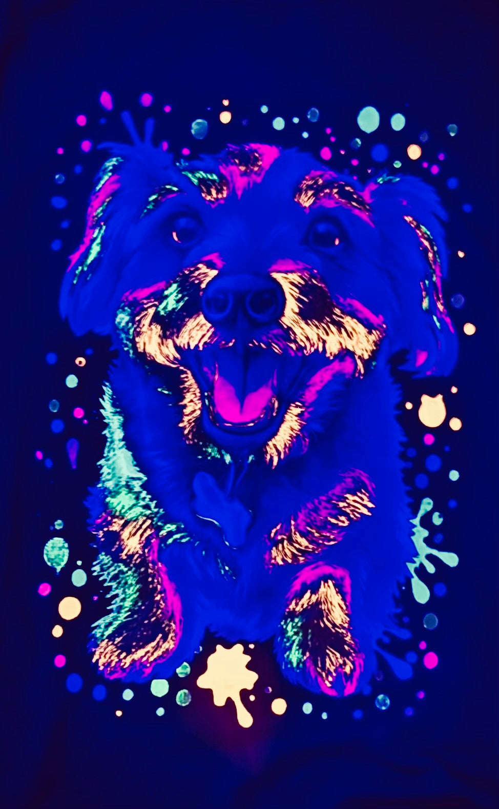 Neon Pet Shirt Custom Design