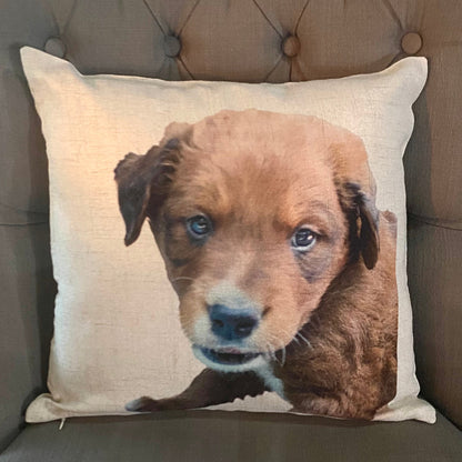 Throw Pillow with your Choice of Photo