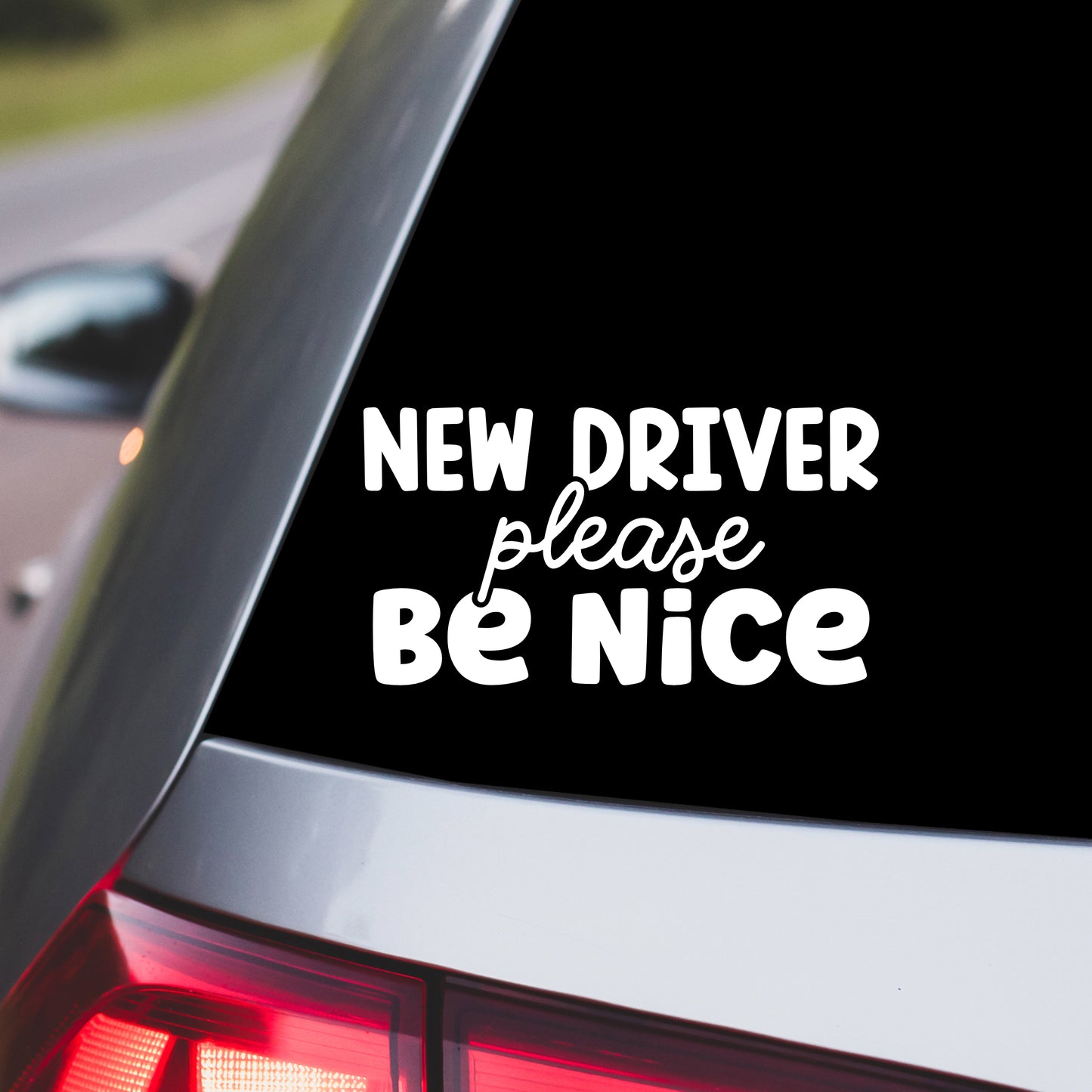 New Driver Please Be Nice Car Decal