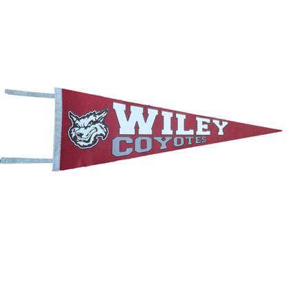 Wiley Pennant Flag